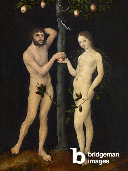 Adam and Eve illustration by Lucas Cranach  the Elder