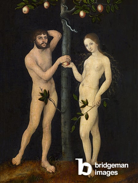 Adam and Eve, Oil on wood, Lucas Cranach  the Elder (1472-1553)  Koninklijk Museum voor Schone Kunsten, Antwerp, Belgium  Photo © Fine Art Images  Bridgeman Images