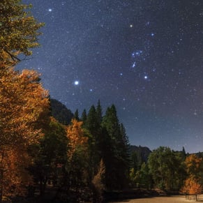 California, USA, November 6, 2012: A moonlit autumn night at the shore of Merced river in the Yosemite National Park, with golden aspen trees, Populus species, Bright star Sirius and constelllation Orion appear in the sky / Photo © B.A.Tafreshi / Novapix / Bridgeman Images 