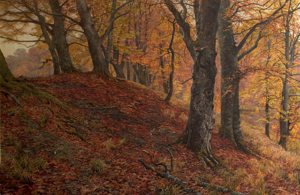 At the Fall of Leaf, Arundel Park, Sussex (Woodland Scene in Autumn), 1883 (oil on canvas) William Samuel Jay (c.1843-c.1933)  Nottingham City Museums and Galleries (Nottingham Castle)  Bridgeman Images