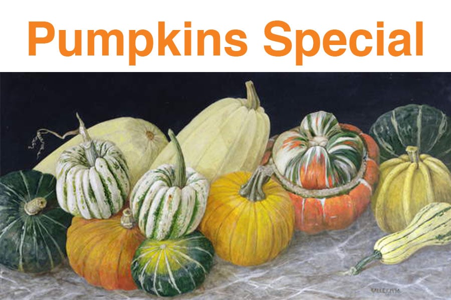 Fall, Pumpkins Special - Pumpkins and Squashes, 1996 (acrylic on board), © Galley  / Bridgeman Images
