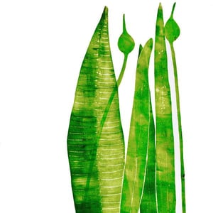 Long green things (mono print) 2020, © Sarah Thompson-Engels  Bridgeman Images 