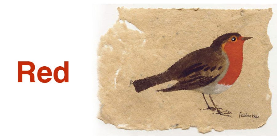Robin, 1982 (wc & bodycolour on paper), Mary Fedden (1915-2012)  Private Collection  © Christies Images  Bridgeman Images