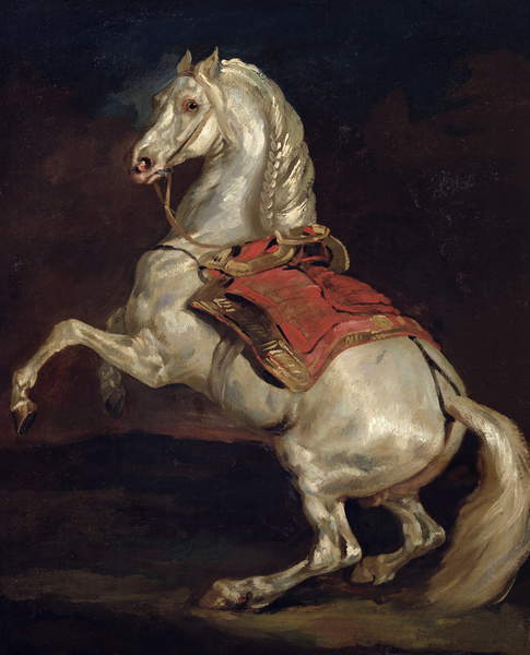 Napoleons Stallion, Tamerlan (oil on canvas), Gericault, Theodore (1791-1824)  Musee des Beaux-Arts, Rouen, France  Bridgeman Images