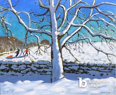 Tree in winter,Newhaven,Derbyshire,2017,(oil on canvas), Macara, Andrew  Private Collection  © Andrew Macara  Bridgeman Images 3617837