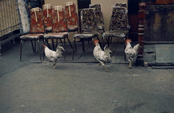 New York, 1971 (dye imbibition print), Levitt, Helen (1913-2009)  Museum of Fine Arts, Houston, Texas, USA  © Museum of Fine Arts, Houston  gift of Joel Sternfeld  Bridgeman Images