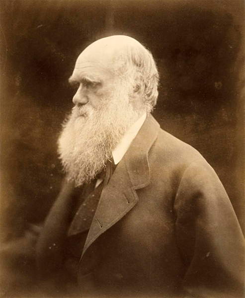 Portrait of Charles Darwin, 1868 (photo), Cameron, Julia Margaret (1815-79)  Private Collection  Prismatic Pictures  Bridgeman Images