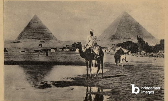 The Pyramids of Giza, Egypt (b/w photo) / Look and Learn / Elgar Collection / Bridgeman Images