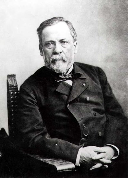 Louis Pasteur (1822-95) (b&w photo), French Photographer, (19th century) / Private Collection