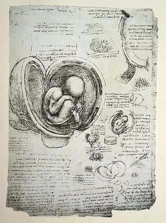 CHT231132 The Human Foetus in the Womb, facsimile copy (pen & ink on paper) by Vinci, Leonardo da (1452-1519) (after); Bibliotheque des Arts Decoratifs, Paris, France; (add.info.: original in Royal Collection at Windsor Castle;); Archives Charmet; Italian, out of copyright