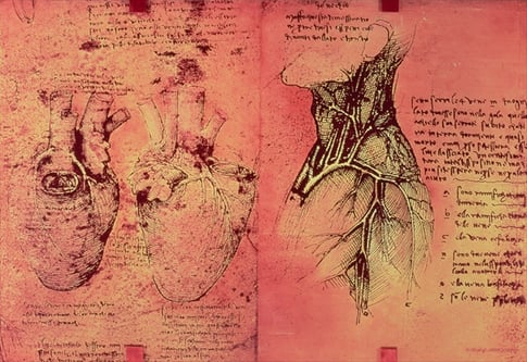 FAB32564 Anatomical drawing of hearts and blood vessels, fol. 3v from Quaderni di Anatomia vol. 2, 1499 (pen & ink on paper) by Vinci, Leonardo da (1452-1519); Private Collection; Italian, out of copyright