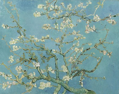 Almond Blossom, 1890 by Vincent van Gogh (1853-90) / Van Gogh Museum, Amsterdam, The Netherlands / Bridgeman Images