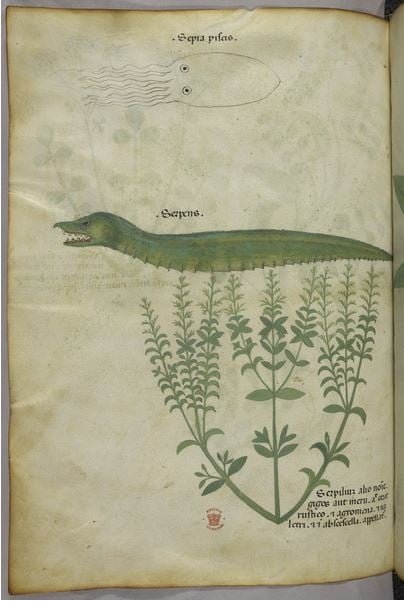 botanical-animal-illustration-british-library-serpent
