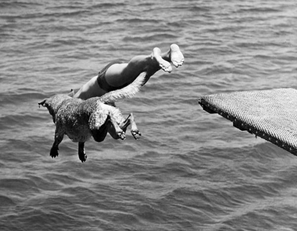 Boy And His Dog Dive Together,  Underwood Archives