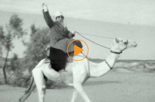 camel-ride-at-assouan-de-laszlo