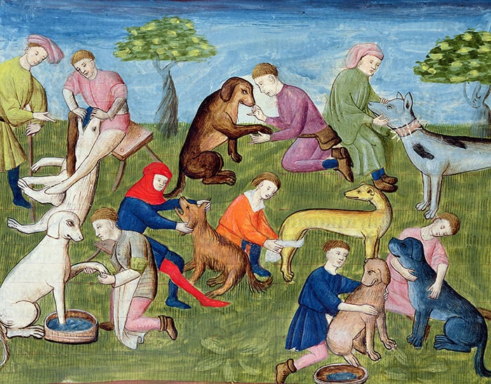  Caring for the Hounds, from the 'Livre de la Chasse' by Gaston Phebus de Foix (1331-91) (vellum) French School, (15th century) / Musee Conde, Chantilly, France / Bridgeman Images