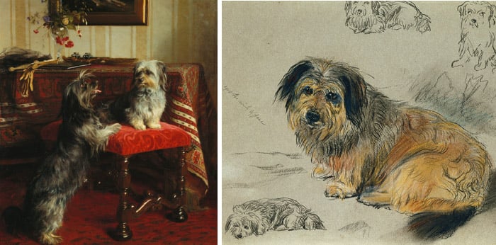 Left: Dot and Cairnach, Skye terriers, 1874, Otto Weber / Royal Collection Trust © Her Majesty Queen Elizabeth II, 2017 Right: Boz, favourite Skye Terrier of the Duchess of Kent and afterwards the Queen, 1861, Friedrich Wilhelm Keyl / Royal Collection Trust © Her Majesty Queen Elizabeth II, 2017