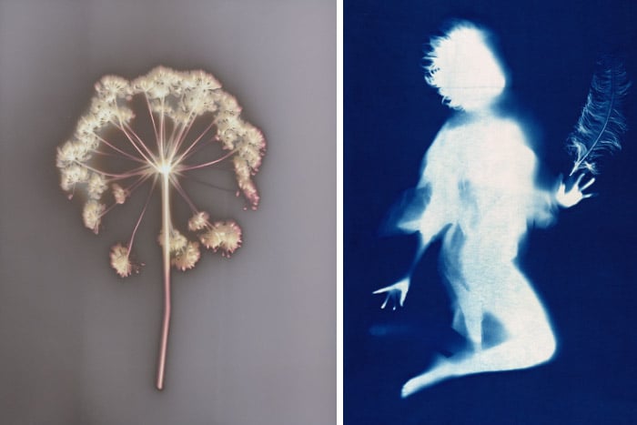 Left: Seed Head, Angela Easterling Right: Fairy with Feather (photogram) by Angela Easterling