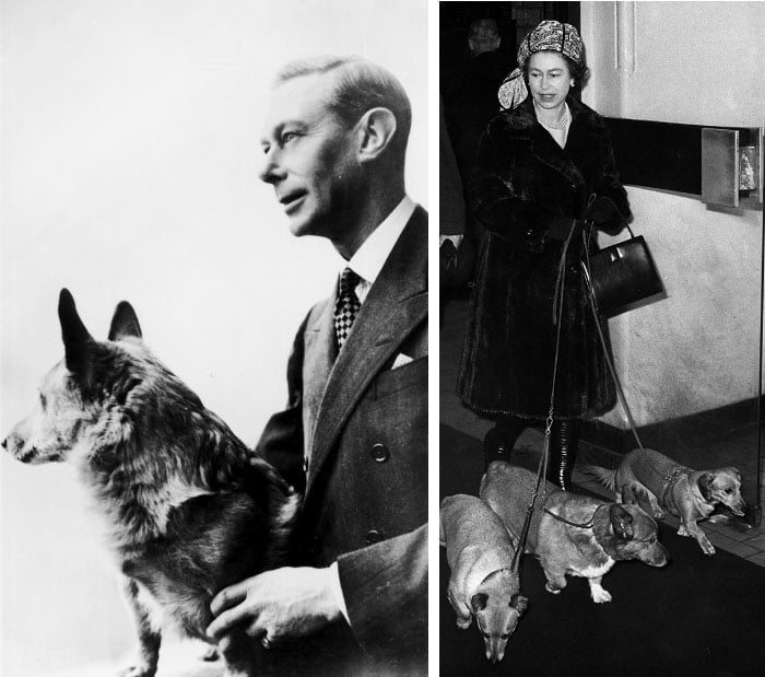 Left: His Late Majesty King George VI, postcard, printed by Raphael Tuck & Sons, 1952 / Prismatic Pictures Right: Queen Elizabeth II with her dogs in 1965, Liverpool Street Station