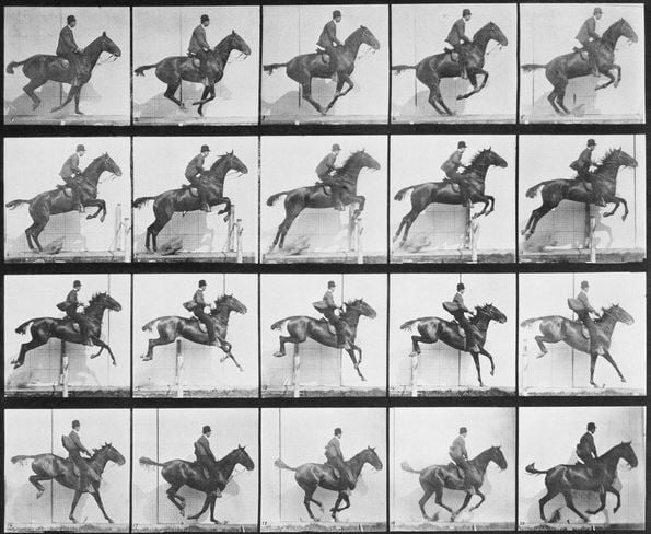 Man and horse jumping a fence, plate 640 from 'Animal Locomotion', 1887 (b/w photo), Eadweard Muybridge (1830-1904) / Private Collection / The Stapleton Collection