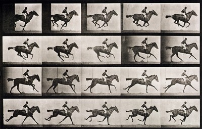 Jockey on a galloping horse, plate 627 from 'Animal Locomotion', 1887 (b/w photo) Eadweard Muybridge (1830-1904) Bridgeman Images