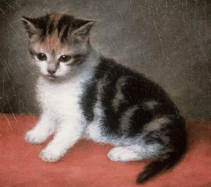 Miss Ann White's Kitten, 1790 by George Stubbs, Roy Miles Fine Paintings