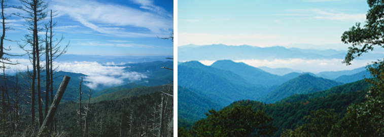 Left:     USA, Tennessee, Great Smoky Mountains National Park, panoramic view of low clouds over peaks, front view Right: SA, Tennessee, Great Smoky Mountains National Park, view from Clingman's Dome overlooking low cloud cover and forested peaks / Dorling Kindersley/ UIG