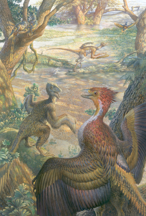 Feathered dinosaurs prepare to lift off in flight (colour litho), Sibbick, John (20th century) / National Geographic Creative / National Geographic Creative