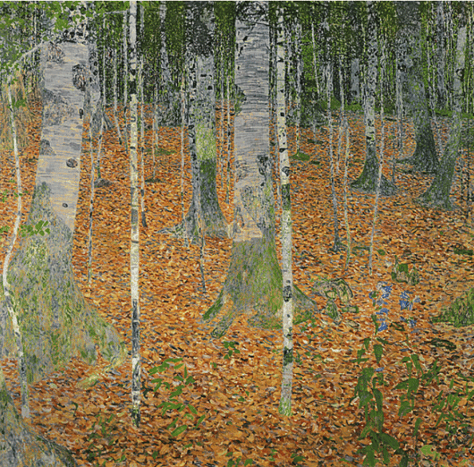 The Birch Wood, 1903 (oil on canvas), Klimt, Gustav (1862-1918) / Private Collection