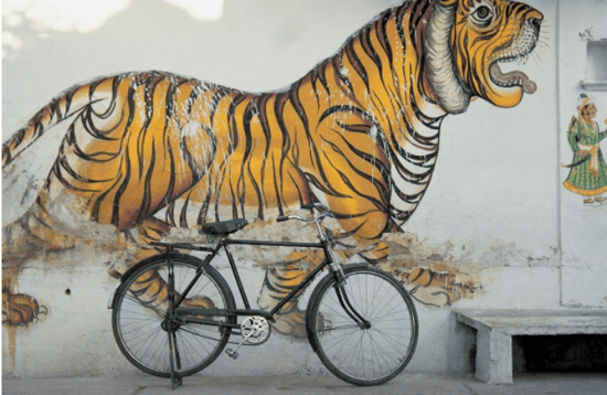 Bicycle at wall painting of tiger , Udaipur, Rajasthan, India (photo) / Dinodia