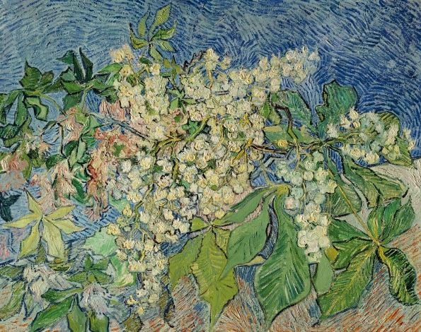 Blossoming Chestnut Branches, 1890 (oil on canvas), Gogh, Vincent van (1853-90) / Buhrle Collection, Zurich, Switzerland