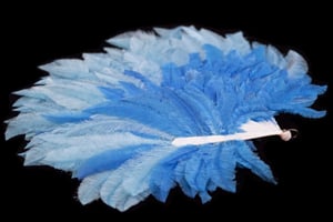 Blue ostrich feather fan, 1933, © Historic Royal Palaces/Ian Serfontein / Bridgeman Images 