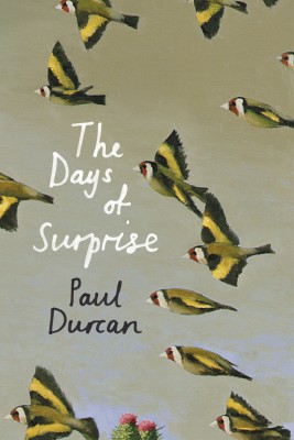 book-day-surprise-paul-durcan
