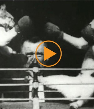 Boxing cats - early Edison film, 1894 / Bridgeman Footage