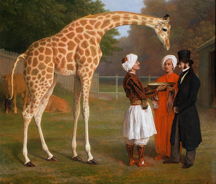 (detail) The Nubian Giraffe, 1827 by Jacques-Laurent Agasse/ The Royal Collection © Her Majesty Queen Elizabeth II, 2017