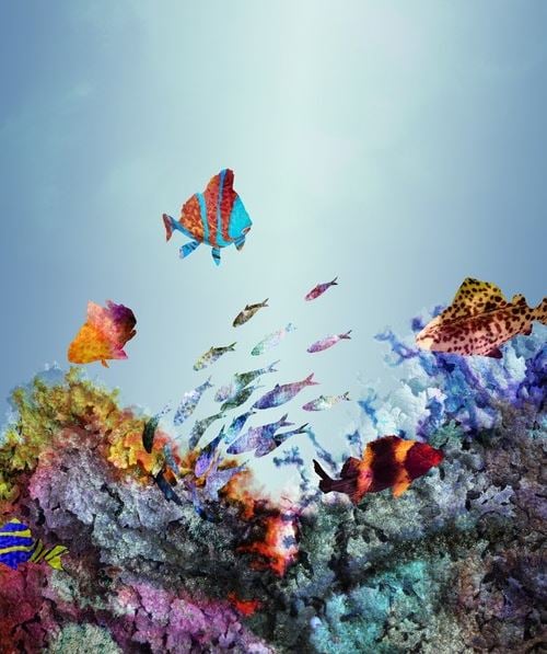 digital-coral-reef-sea-underwater-fish