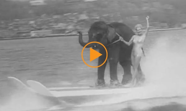 An elephant water-skis down the Hudson River, USA, 1958 / Bridgeman Footage