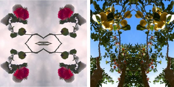 Left: Unnatural 80 (digitally manipulated photo), Giovanni Cafagna (Contemporary Artist) / Private Collection Right: Unnatural 78 (digitally manipulated photo), Giovanni Cafagna (Contemporary Artist) / Private Collection
