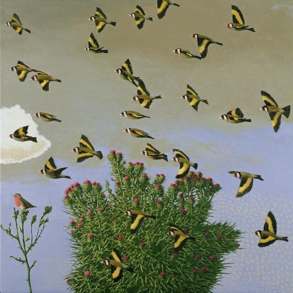 goldfinches-david-inshaw-birds