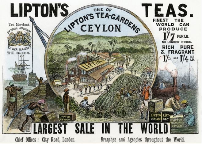 lipton-ceylon-tea-advert