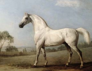 Mambrino, 1779 by George Stubbs(1724-1806) / Private Collection / Bridgeman Images
