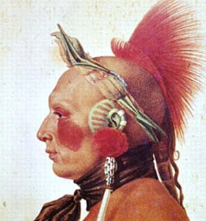 PNP246189 Credit: An Osage Warrior, c.1804 (colour litho) by Saint-Memin, Charles Balthazar Julien Fevret de (1770-1852) Private Collection/ Peter Newark American Pictures/ The Bridgeman Art Library Nationality / copyright status: French / out of copyright