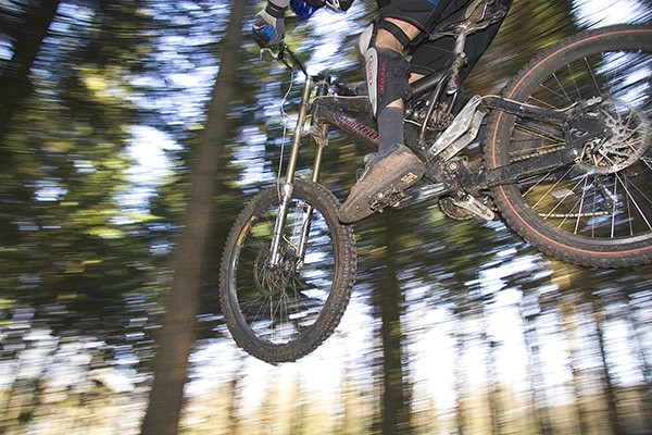 A mountain biker jumping over a bump, in a forest, Rogate, UK 2005. / PYMCA