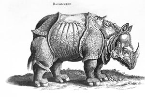 XIR230156 Rhinoceros, no.76 from 'Historia Animalium' by Conrad Gesner (1516-65) published in July 1815 (engraving) (b/w photo) by Durer or Duerer, Albrecht (1471-1528) (after); Private Collection; (add.info.: original drawing given to Maximilian I by Durer (see 168591); Durer had never seen the animal before and based his engraving on a description;); Giraudon; German, out of copyright
