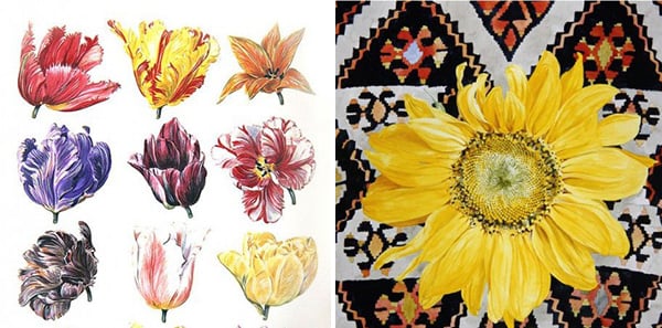 Left: Tulip Heads 03 (w/c on paper), Sally Maltby (Contemporary Artist) / Private Collection Right: Sunflower Carpet 01 (w/c on paper), Sally Maltby (Contemporary Artist) / Private Collection