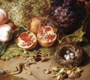 Still-life with Fruit and Insects, (oil on canvas)