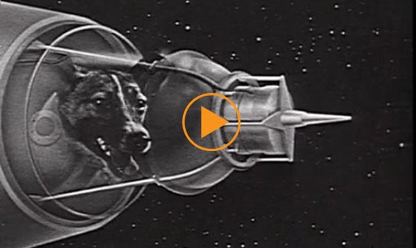  Gagarin talks to camera about Sputnik 1 and Sputnik 2 (animation featuring the space dog Laika) / Film Images / Bridgeman Footage