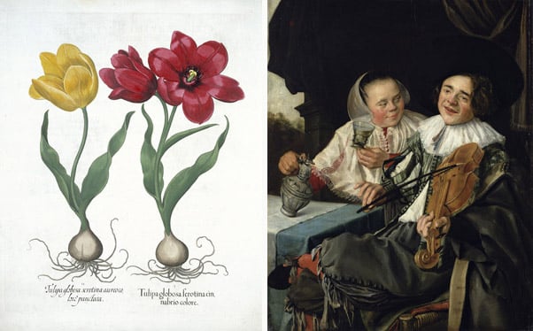 Left: Red and yellow tulip, from 'Hortus Eystettensis', by Basil Besler, pub. 1613 (hand coloured engraving), German School Right: Merry Company, 1630 by Judith Leyster (1600-60) / Louvre, Paris, France / Giraudon