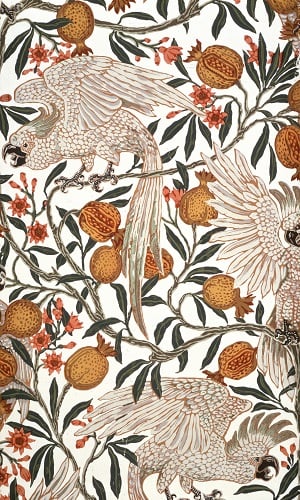 WHT868382 Cockatoo and Pomegranate Wallpaper Design, 1899 (colour litho) by Crane, Walter (1845-1915); Whitworth Art Gallery, The University of Manchester, UK; PERMISSION REQUIRED FOR NON EDITORIAL USAGE; English, out of copyright PLEASE NOTE: The Bridgeman Art Library works with the owner of this image to clear permission. If you wish to reproduce this image, please inform us so we can clear permission for you.