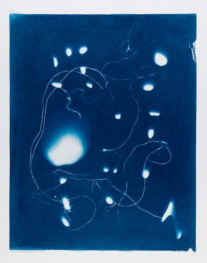 blue and white abstract image of organic shapes Out of the Blue 14, 2020 (cyanotype), Aldworth, Susan  Private Collection  © Susan Aldworth  Bridgeman Images  6313592